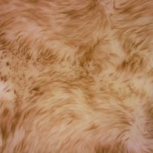 Luxury Sheepskin~Wolf